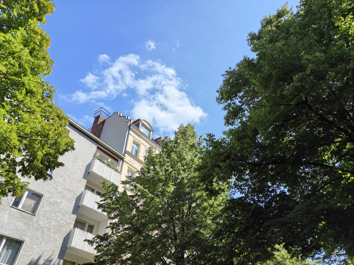 Durch die fehlende Hasselblad-Farbkorrektur sind die mit dem Oneplus 10T gemachten Bilder etwas neutraler, was die Farbtemperatur betrifft. (Bild: Tobias Költzsch/Golem.de)